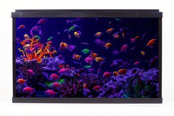 АКВАРІУМ PalaceGlow WPG 60 (593х308х366, 56л, фільтр, світло LED 10W білий/місячний 155892 фото